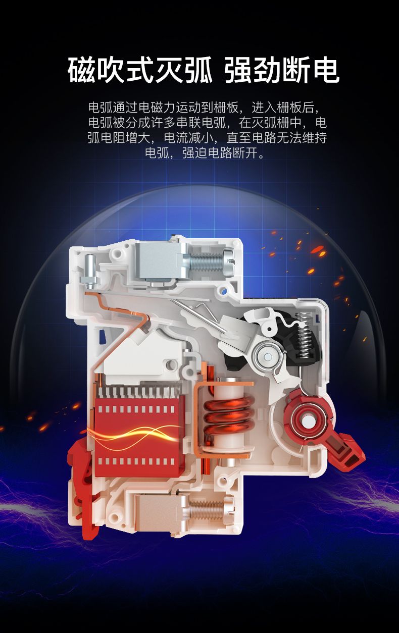 德力西大功率漏電開(kāi)關(guān)DZ47LE 2P-100A/125A D型漏電斷路器 兩相大功率漏電保護(hù)器 2極漏電開(kāi)關(guān)