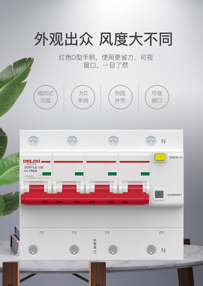 德力西大功率漏電開(kāi)關(guān)DZ47LE 2P-100A/125A D型漏電斷路器 兩相大功率漏電保護(hù)器 2極漏電開(kāi)關(guān)