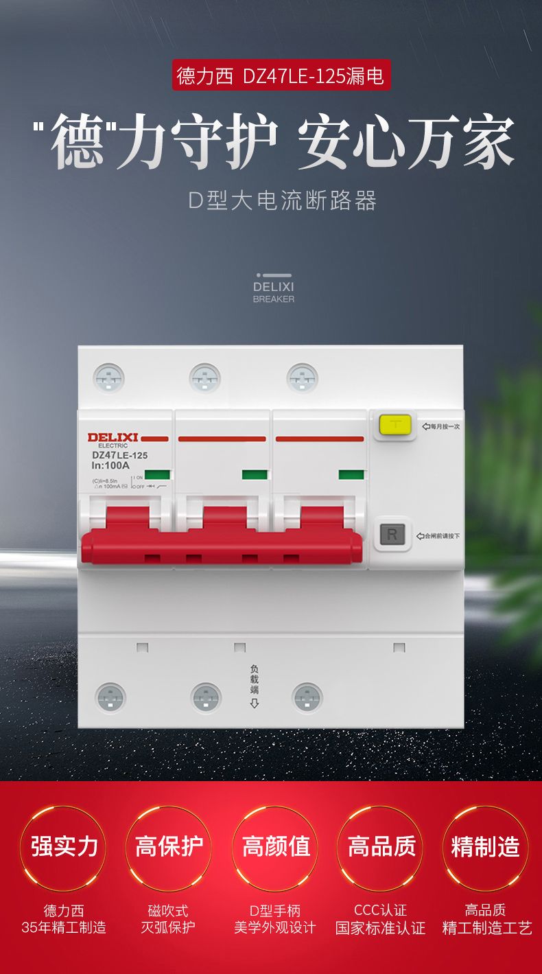 德力西大功率漏電開(kāi)關(guān)DZ47LE 2P-100A/125A D型漏電斷路器 兩相大功率漏電保護(hù)器 2極漏電開(kāi)關(guān)